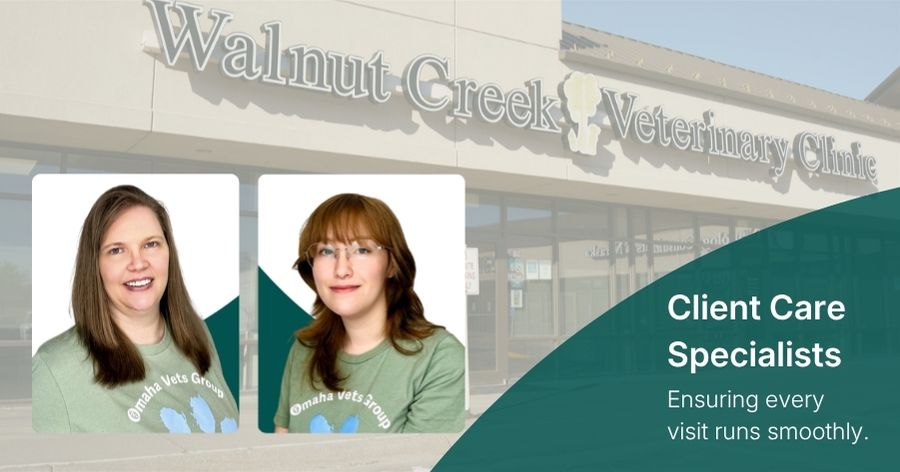 Celebrating our Client Care Specialists