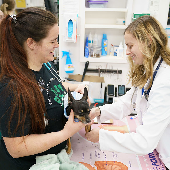 Walnut Creek Veterinary Clinic