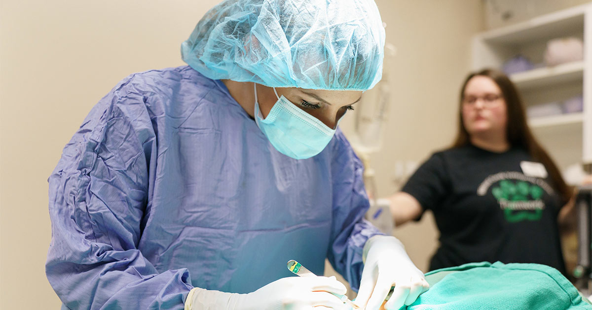 Surgical Services